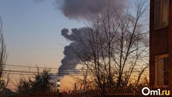 Сероводород был: в омском воздухе обнаружили аммиак