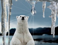 С 2015 года в Северном полушарии Земли начнется похолодание климата
