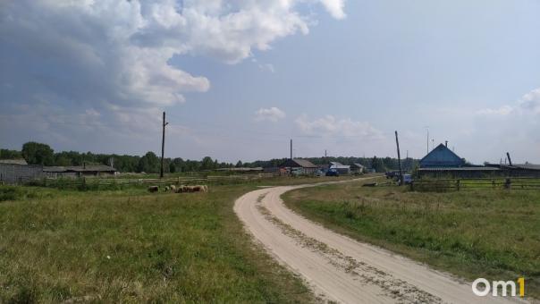 Роковая ссора. Пожилая сельчанка ударила сожителя топориком по голове