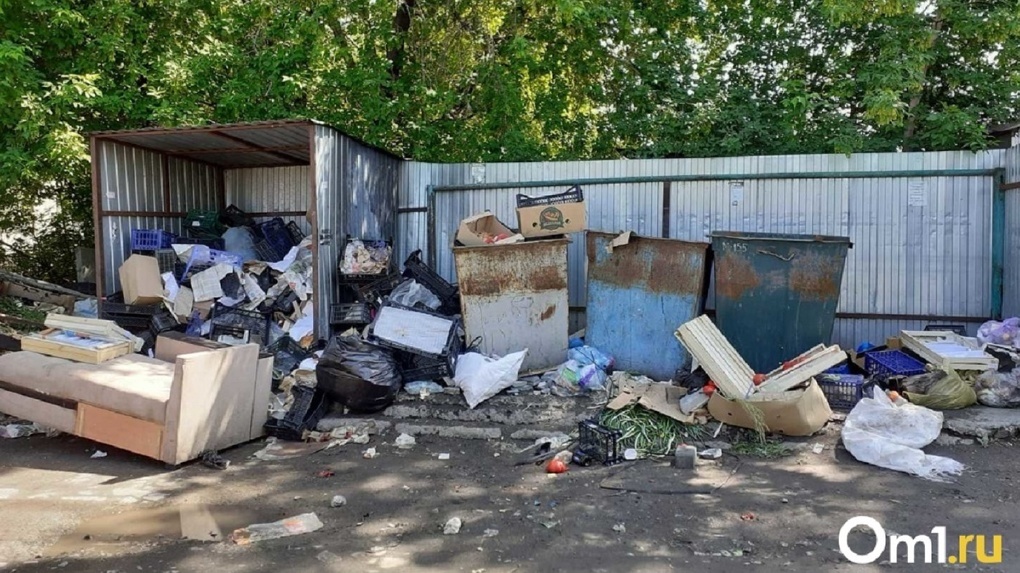 Штрафы до 200 тысяч и фотоловушки: омский эксперт в сфере ЖКК — о том, как в регионе идёт мусорная реформа