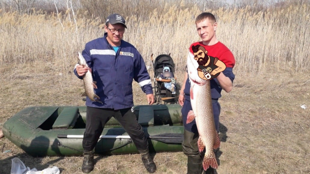 Рыбак на Иртыше в Омской области поймал семикилограммовую щуку