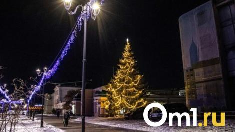 Морозная неделя в Новосибирске: от -17 до потепления и снегопадов