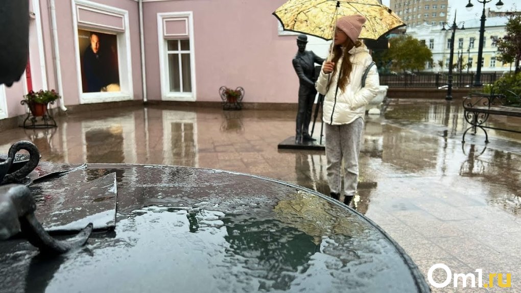 Омскую область накроет затяжными дождями и грозами: стала известна дата