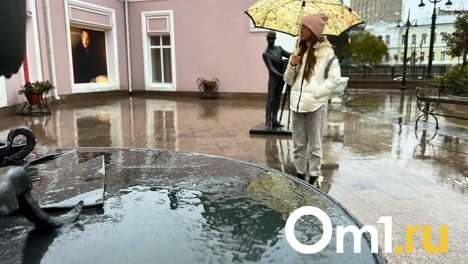 Омскую область накроет затяжными дождями и грозами: стала известна дата