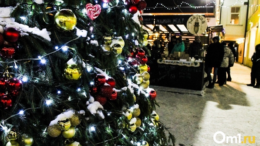 В Новосибирске на охрану главной новогодней ёлки потратят 700 тысяч рублей