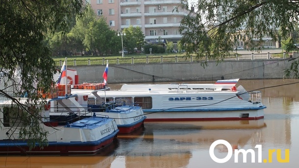 Билеты на теплоходы до Большеречья и Зелёного берега подешевеют в несколько раз