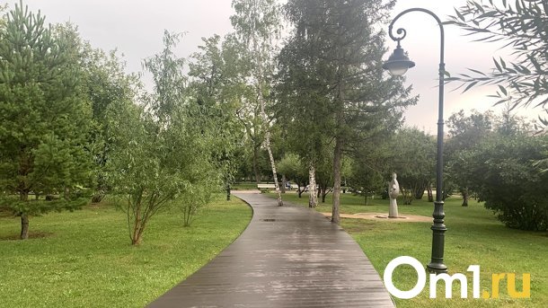 Трём омским скверам дадут новые имена