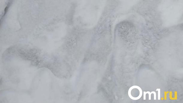 «Снег в чёрную крапинку»: омичи пожаловались на выбросы в Амуре