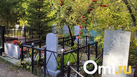 Кладбища в Новосибирске начали обрабатывать от клещей