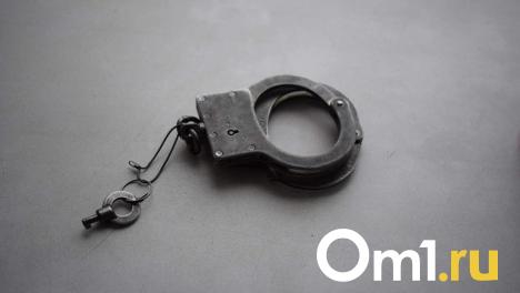 В Омске поймали курьеров телефонных мошенников, которые забирали деньги у пенсионеров