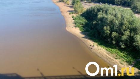 На омском пляже чуть не утонули три девочки