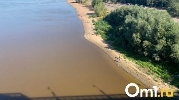На омском пляже чуть не утонули три девочки