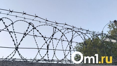 Маньяка-форточника простили за изнасилование нескольких омичек