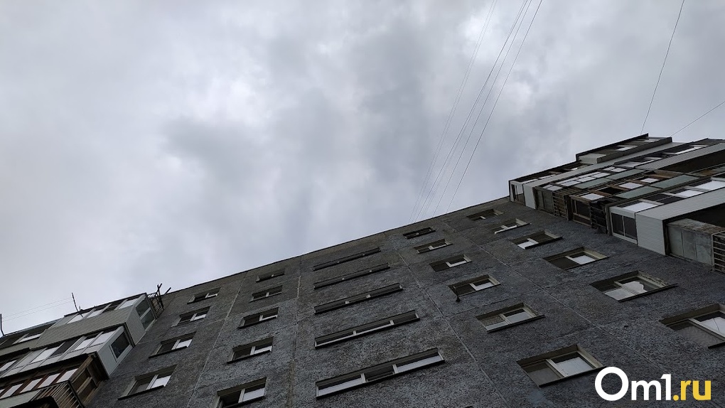 Омскую станцию контроля качества воздуха стоимостью 10 миллионов сломали