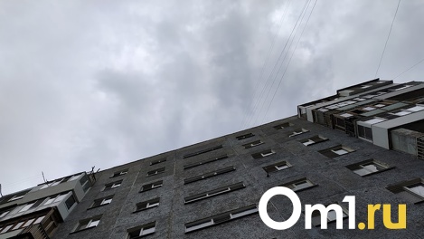Омскую станцию контроля качества воздуха стоимостью 10 миллионов сломали