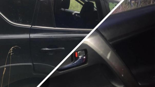 На нашествие автоворов в новосибирских лесах пожаловались грибники