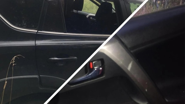 На нашествие автоворов в новосибирских лесах пожаловались грибники