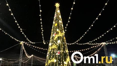 В Омске остались невостребованными две тысячи новогодних ёлок