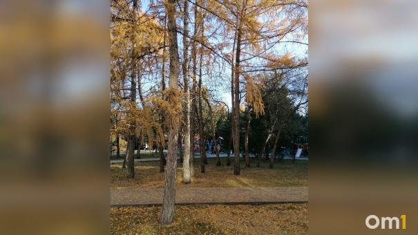Мэр Новосибирска Локоть пригласил горожан на общегородской субботник