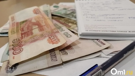 Новосибирцы похитили 6,5 млн рублей при махинациях с маткапиталом