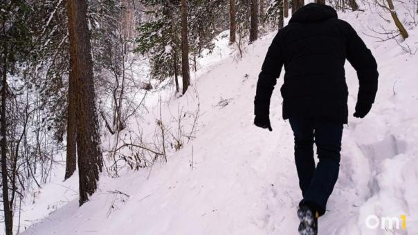 В новосибирском лесу введут пропускной режим из-за лесных закладчиков