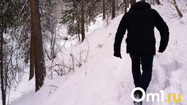 В новосибирском лесу введут пропускной режим из-за лесных закладчиков