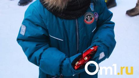 Омичке, которая выгуливала сына на поводке, не позволили оспорить штраф