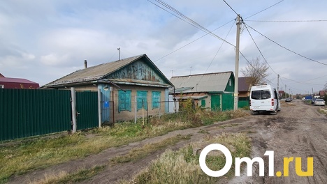 На Левобережье Омска появятся два Облепиховых переулка