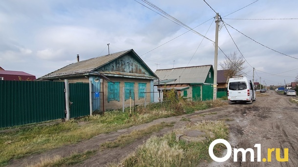 На Левобережье Омска появятся два Облепиховых переулка