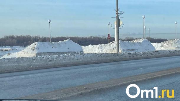 В Омске ищут участок для установки снегоплавильной станции
