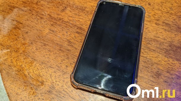 Омич ограбил человека, но спасовал перед смартфоном