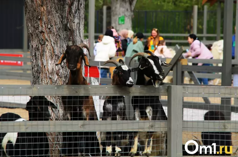 Изображение фоторепортажа