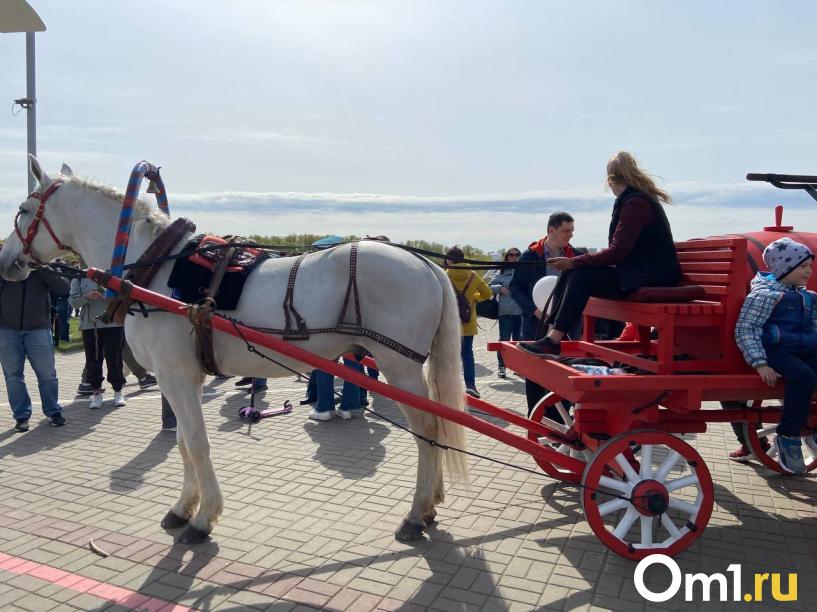 Изображение фоторепортажа