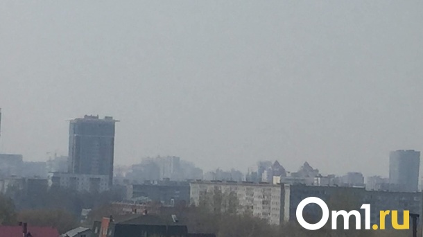 Новосибирск заволокло едким дымом