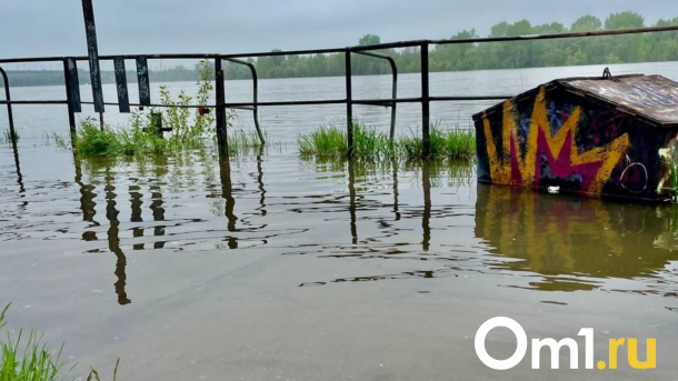 Метеорологи рассказали, когда прекратится подъём воды в Иртыше в черте Омска