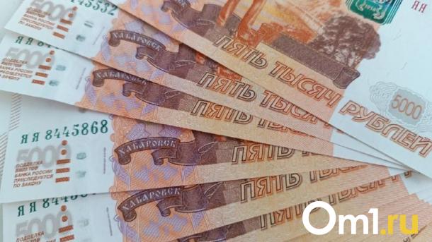 Жителя Новосибирской области оштрафовали на полмиллиона за нетрезвую езду