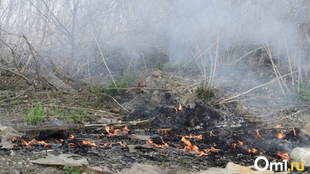 Повезло, что не было детей. На юге Омской области сгорел детский лагерь. ФОТО
