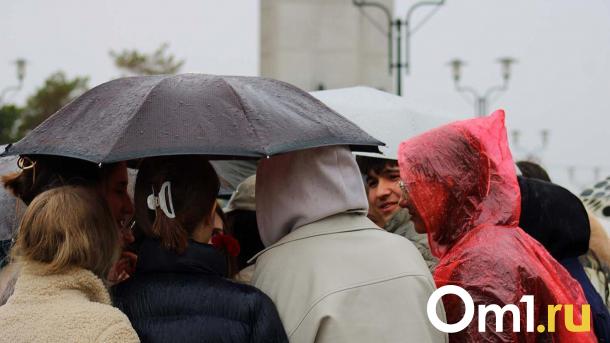 Град размером с перепелиное яйцо обрушился Новосибирск