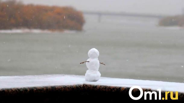 Омскую область накроют снег и сильный ветер в конце рабочей недели