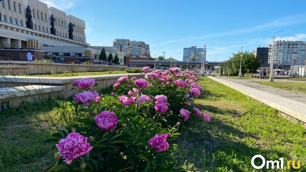 Омск сегодня фото погода