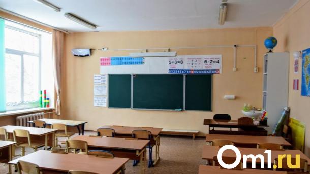 В омских школах в 2026 году могут ввести новый необычный предмет