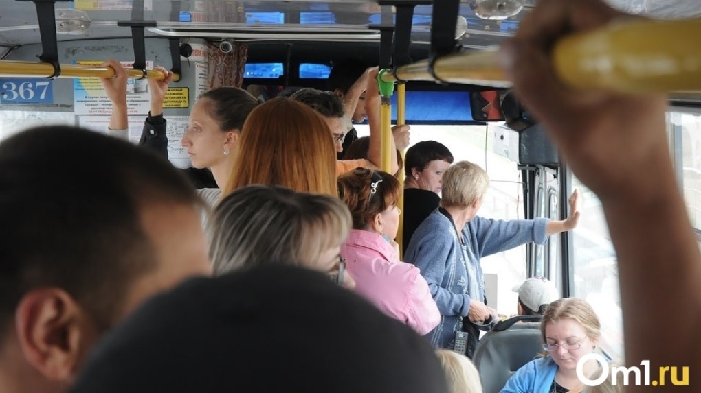 После вмешательства генпрокурора Краснова в Омской области запустили 11 новых автобусных маршрутов