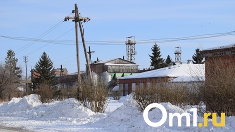 Омские фермеры жалуются на нехватку кормов для собственных хозяйств. Что отвечают в Минсельхозе?