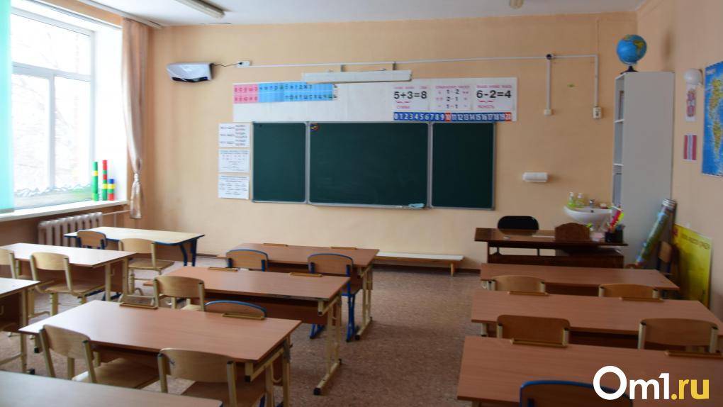 Омскую школу перевели на удалёнку и закроют ради ремонта