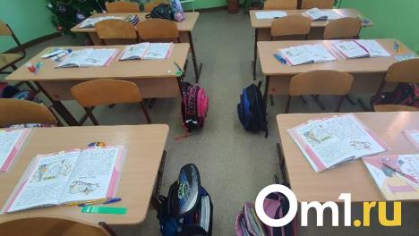 Стало известно, когда для омских школьников проведут всероссийские проверочные работы