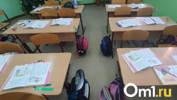 Стало известно, когда для омских школьников проведут всероссийские проверочные работы