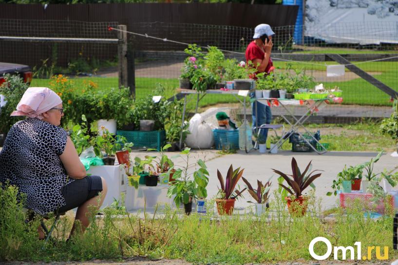 Изображение фоторепортажа