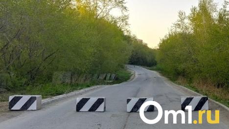 Неадекватная парковка лишает омичей возможности проехать по улице Пушкина