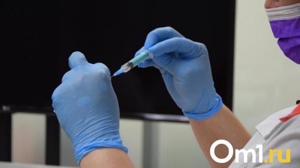 Где в Новосибирске сделать прививку от клещевого энцефалита: 292 тысячи доз вакцин