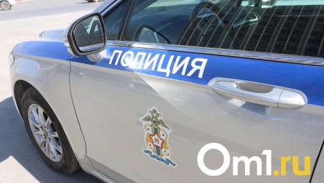 Житель Омской области обстрелял из ружья автомобиль пенсионера